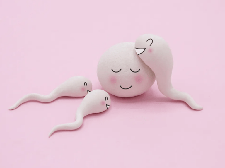 fertilidad