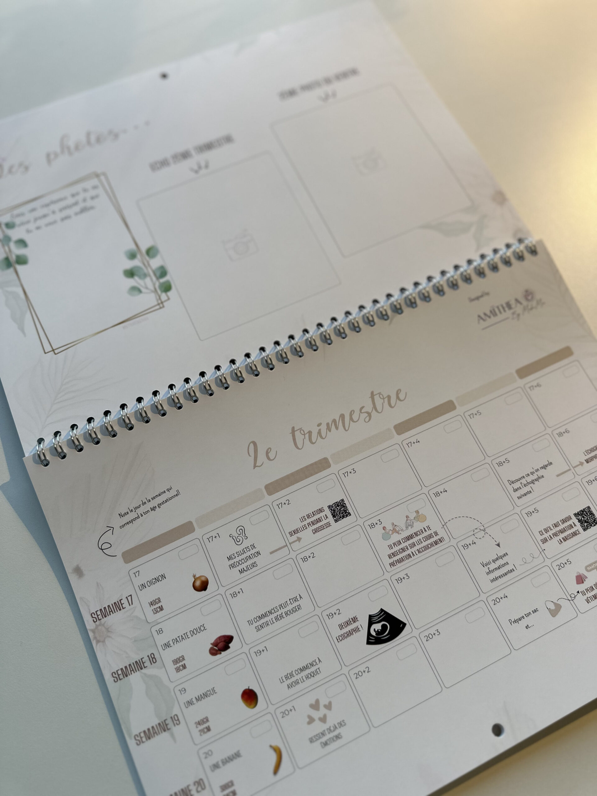 Pregnancy Planner 2026